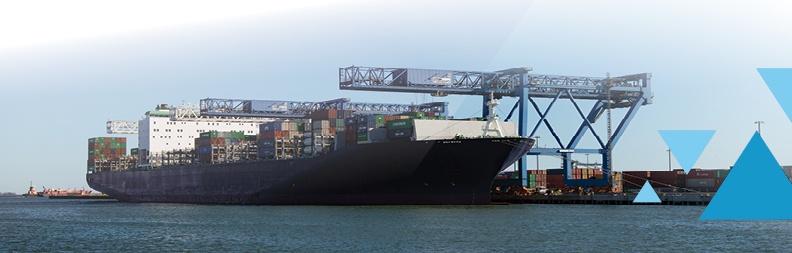 Ocean Freight Transportation Solutions by Demanko Logistics